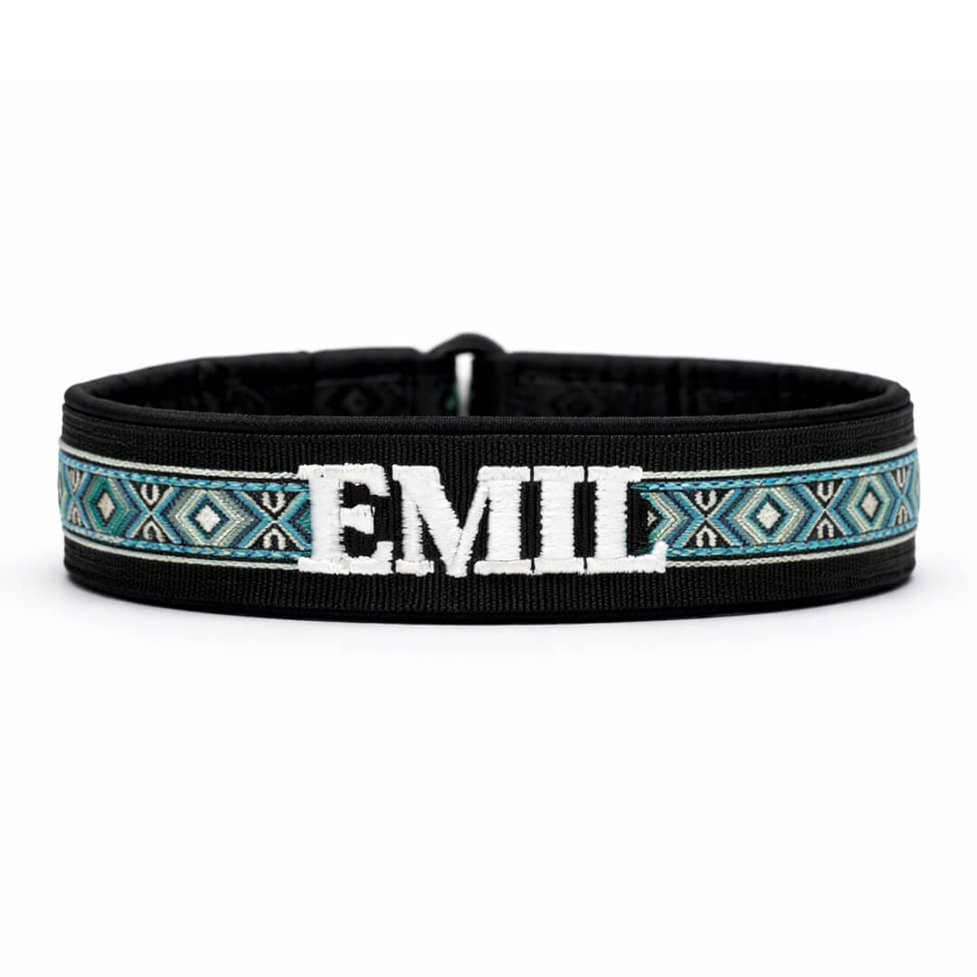 Navn på halsbånd – praktisk eller bare fint?