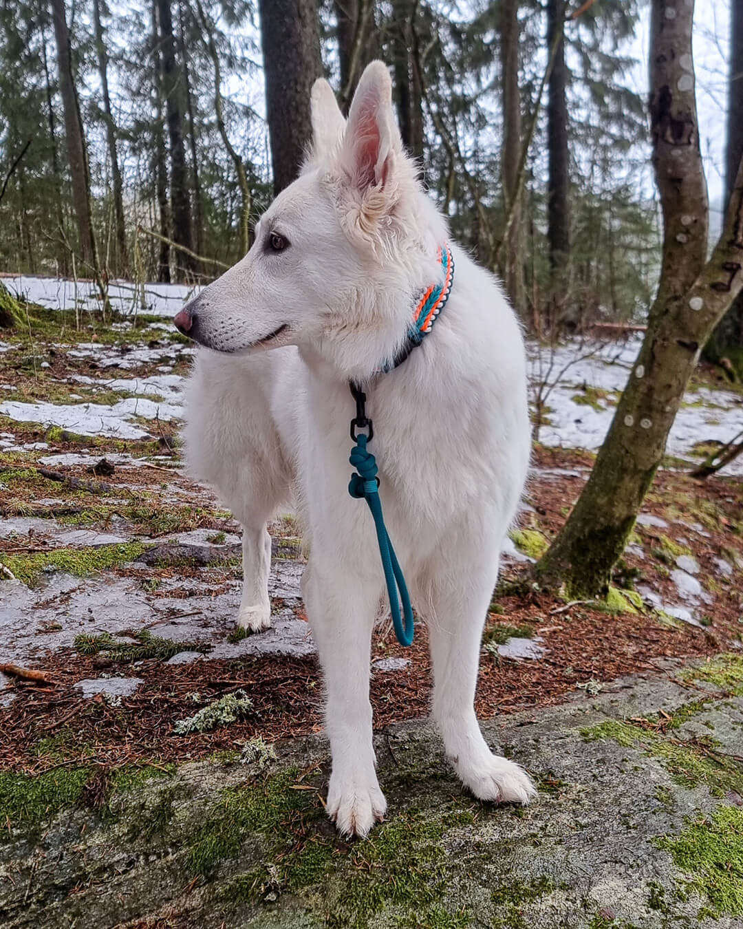 Hvorfor slitestyrke er viktigere enn trender