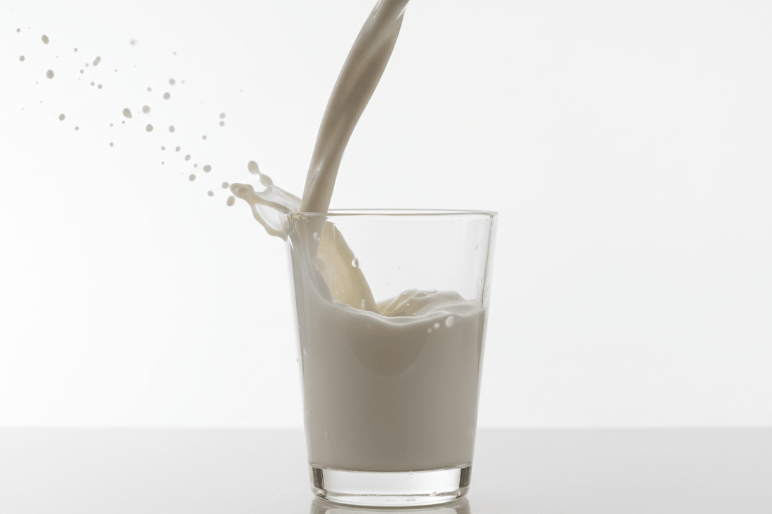 Kan hunder drikke melk? - Snøglimt