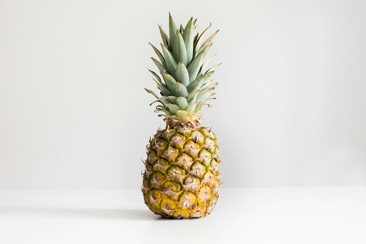 Kan hunder spise ananas? - Snøglimt