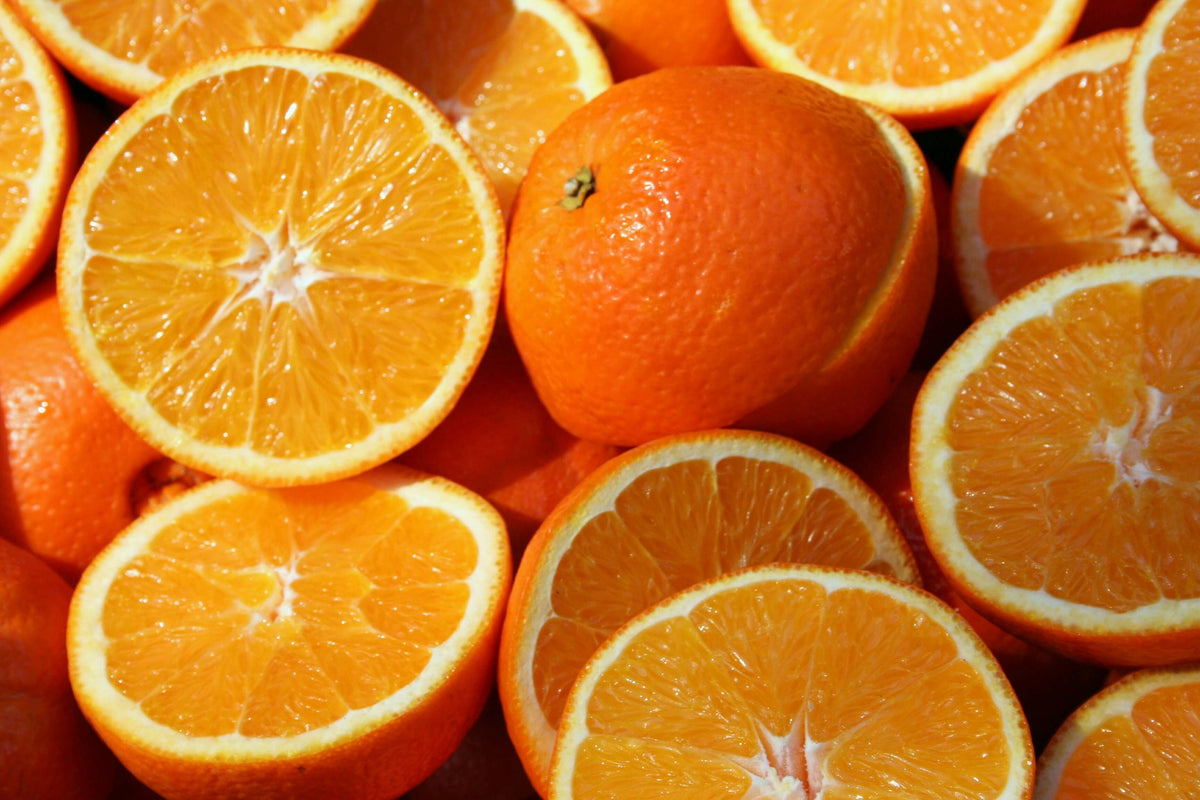 Kan hunder spise appelsin? - Snøglimt