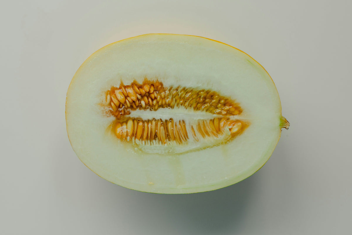 Kan hunder spise honningmelon? - Snøglimt
