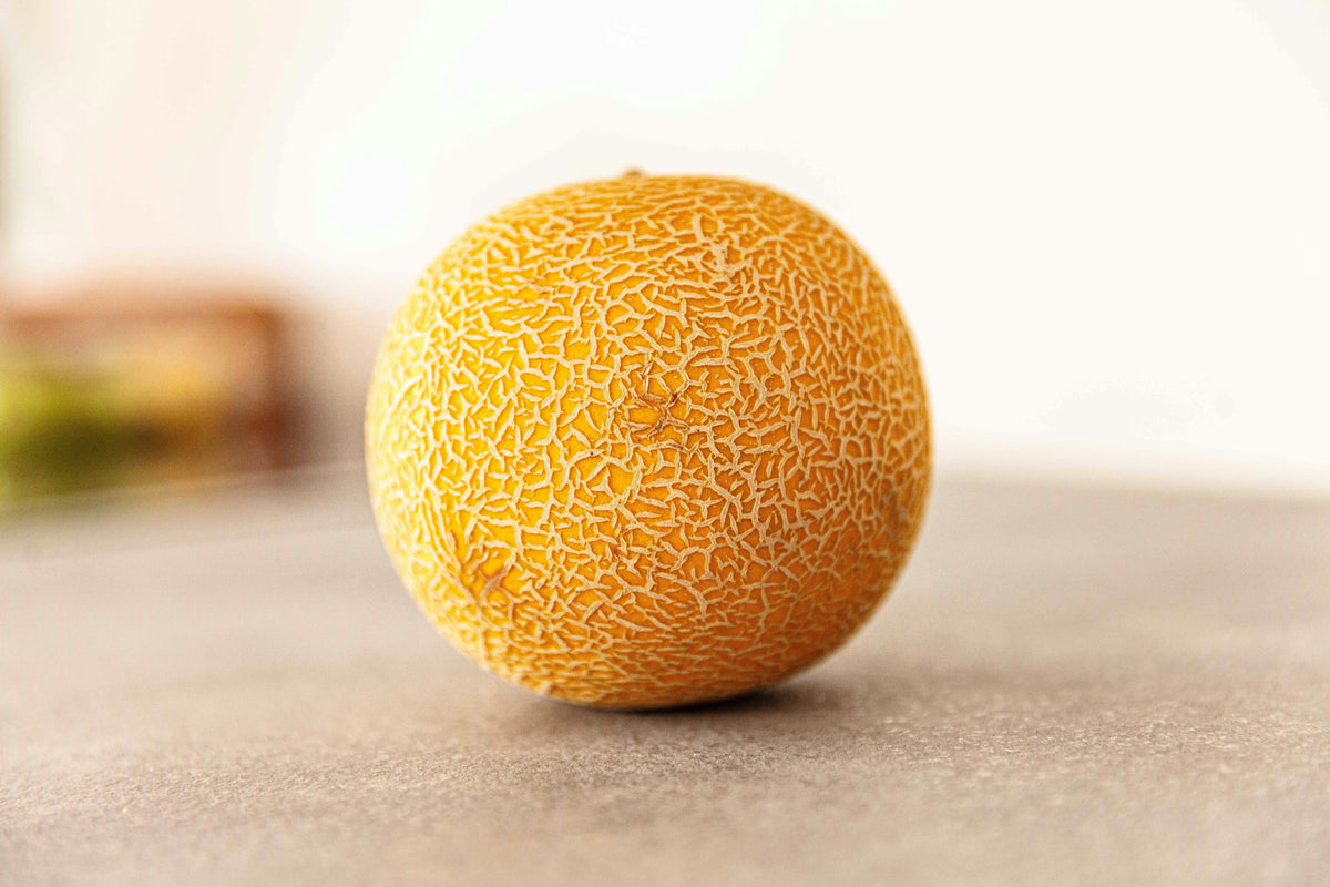 Kan hunder spise melon? - Snøglimt