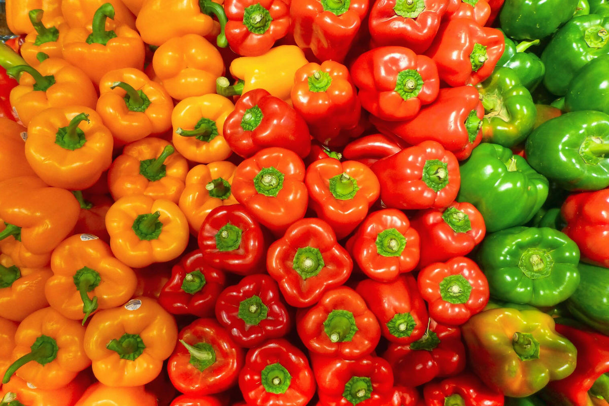 Kan hunder spise paprika? - Snøglimt