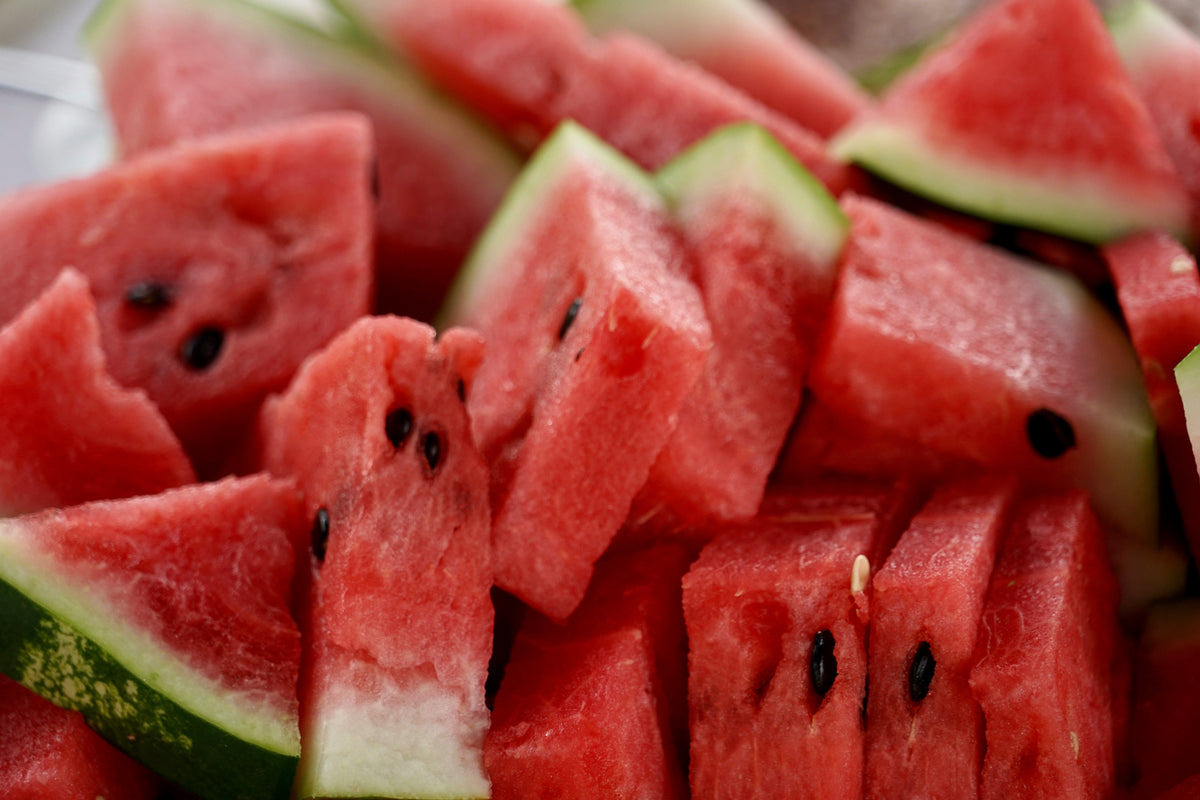 Kan hunder spise vannmelon? - Snøglimt