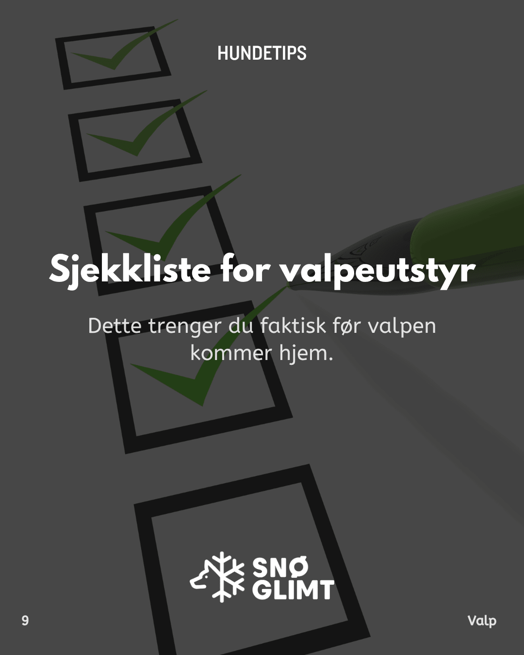 Sjekkliste for valpekjøpere: Dette bør du ha klart før valpen kommer hjem - Snøglimt