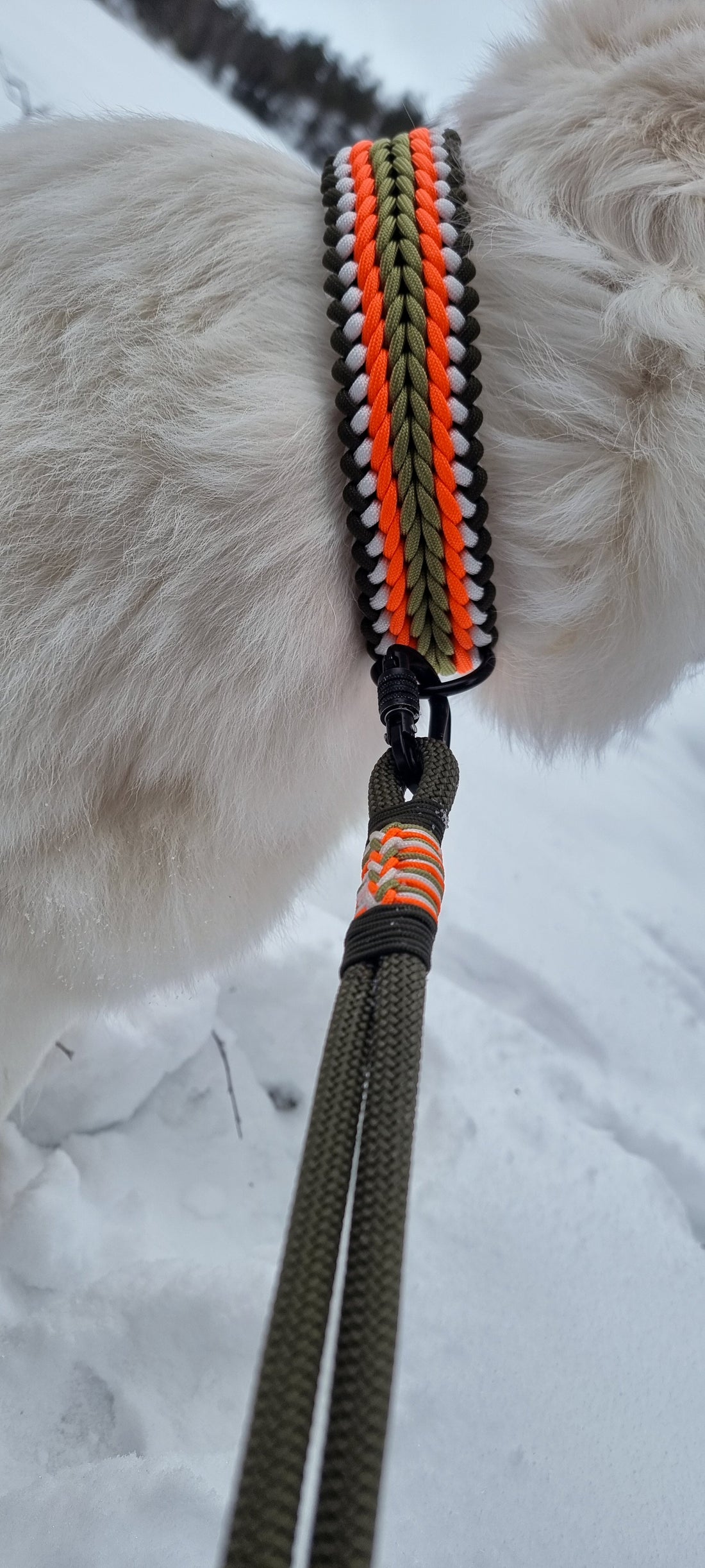 Vanlige feil når man velger hundeutstyr - Snøglimt