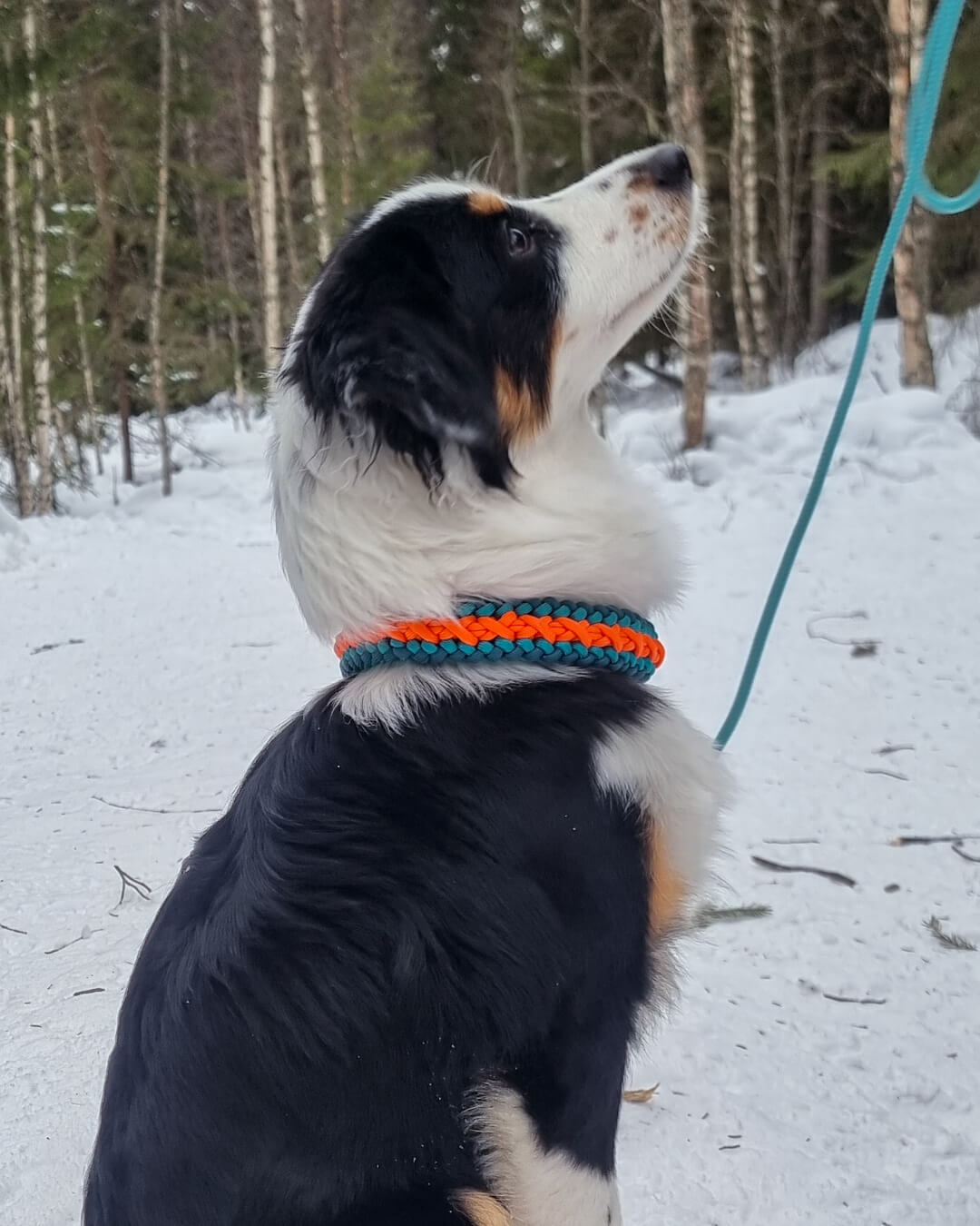 Halsbånd Frostglød Skogbunn Mørk