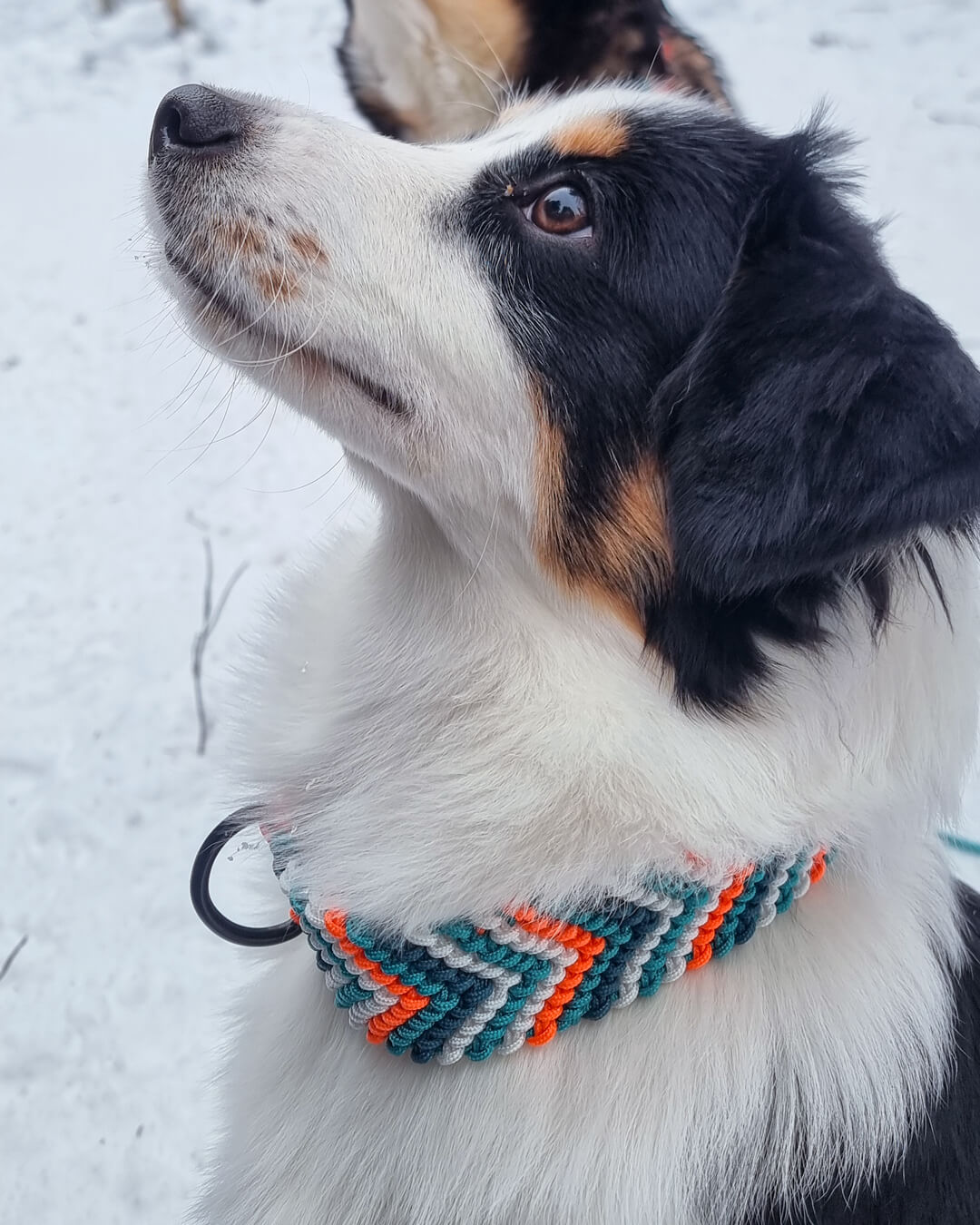 Halsbånd Frostglød Varde