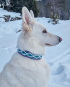 Halsbånd Nordlys Øyeblikk