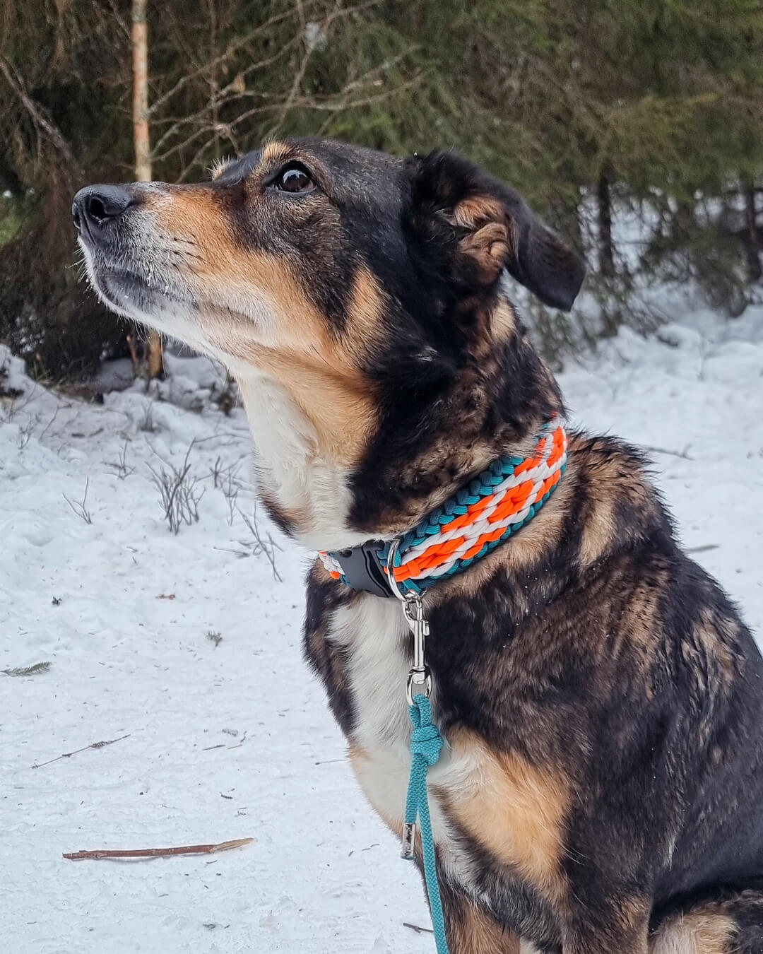 Halsbånd Frostglød Øyeblikk