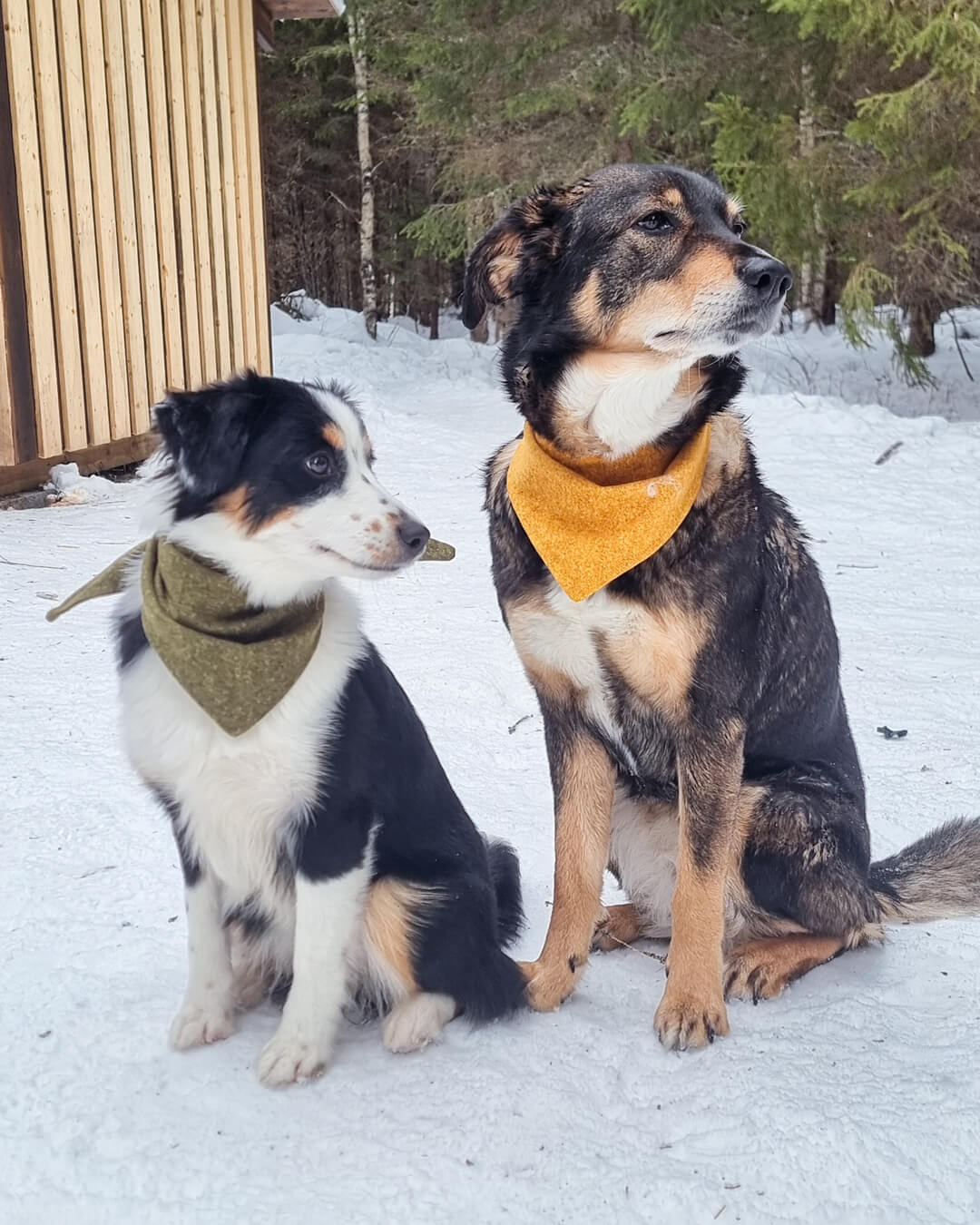 Bandana Ensfarget - Snøglimt